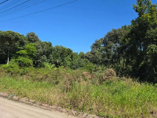 Imagem: Terreno À Venda em Guaratuba, Nereidas