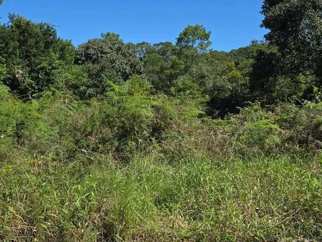 Imagem 3: Terreno À Venda em Guaratuba, Nereidas, 360M²