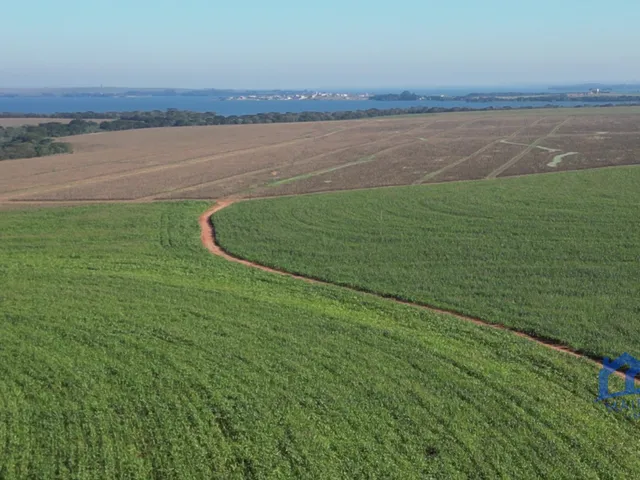 Imagem 2: Sítio/Fazenda À Venda, 312 Alqueires por R$ 120.000.000 Cód. Ch2867