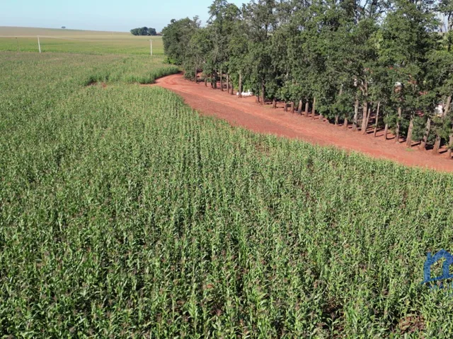 Imagem 12: Sítio/Fazenda À Venda, 312 Alqueires por R$ 120.000.000 Cód. Ch2867
