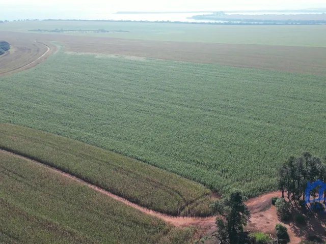 Imagem 9: Sítio/Fazenda À Venda, 312 Alqueires por R$ 120.000.000 Cód. Ch2867