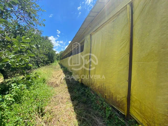 Imagem 13: Fazenda À Venda, Rural, Itáu de Minas -Mg