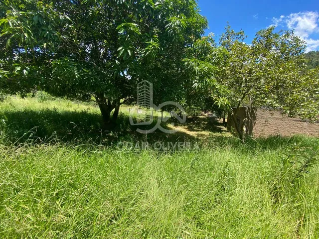 Imagem 14: Fazenda À Venda, Rural, Itáu de Minas -Mg
