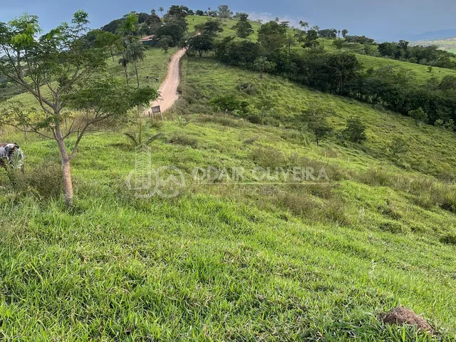 Imagem: Rural de 3,3 Hectares À Venda, Serra da