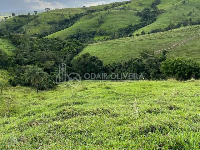 Imagem 7: Rural de 3,3 Hectares À Venda, Serra da Canastra, Passos - Mg