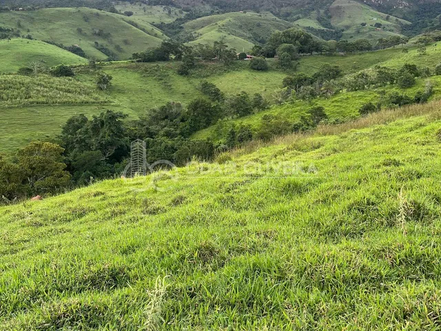 Imagem 11: Rural de 3,3 Hectares À Venda, Serra da Canastra, Passos - Mg