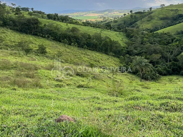 Imagem 9: Rural de 3,3 Hectares À Venda, Serra da Canastra, Passos - Mg