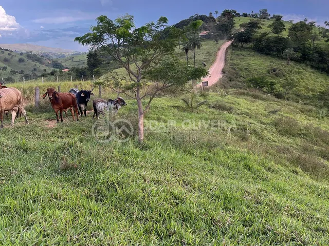 Imagem 8: Rural de 3,3 Hectares À Venda, Serra da Canastra, Passos - Mg