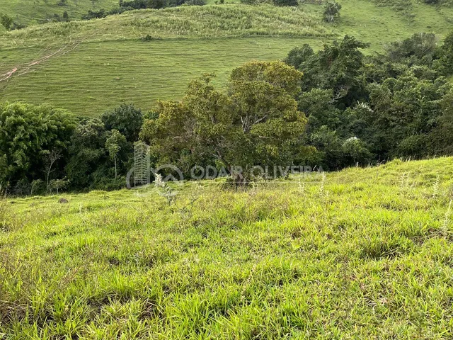 Imagem 12: Rural de 3,3 Hectares À Venda, Serra da Canastra, Passos - Mg
