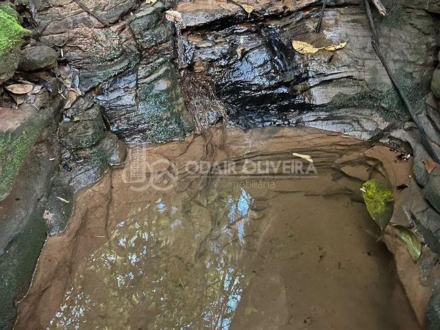 Imagem 6: Rural de 3,3 Hectares À Venda, Serra da Canastra, Passos - Mg