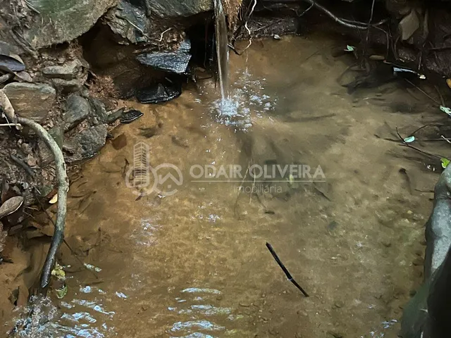 Imagem 10: Rural de 3,3 Hectares À Venda, Serra da Canastra, Passos - Mg