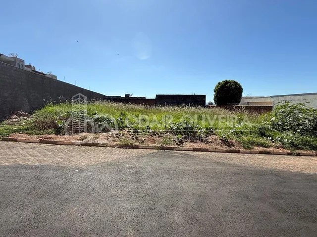 Imagem: Lotes de 250M Venda por 250 Mil Cada Um
