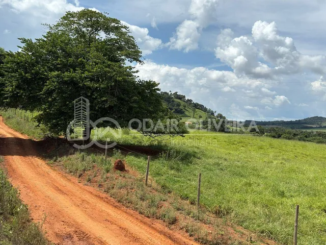Imagem 9: Rural com 6.7 Alqueires À Venda, Zona Rural, Passos - Mg