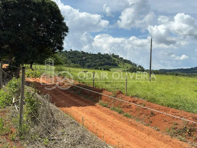 Imagem 11: Rural com 6.7 Alqueires À Venda, Zona Rural, Passos - Mg