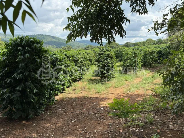 Imagem 3: Rural com 6.7 Alqueires À Venda, Zona Rural, Passos - Mg