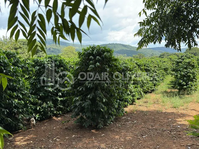 Imagem 5: Rural com 6.7 Alqueires À Venda, Zona Rural, Passos - Mg
