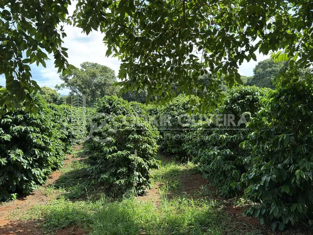Imagem 13: Rural com 6.7 Alqueires À Venda, Zona Rural, Passos - Mg