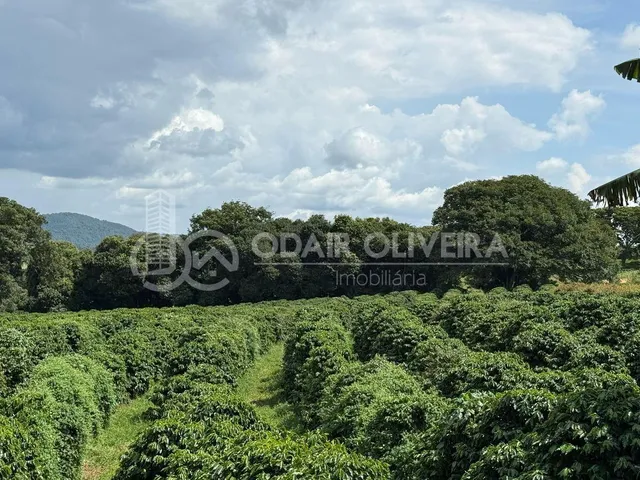 Imagem 8: Rural com 6.7 Alqueires À Venda, Zona Rural, Passos - Mg