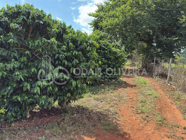 Imagem 14: Rural com 6.7 Alqueires À Venda, Zona Rural, Passos - Mg