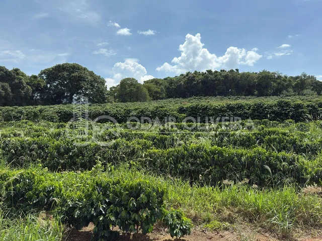 Imagem 16: Rural com 6.7 Alqueires À Venda, Zona Rural, Passos - Mg