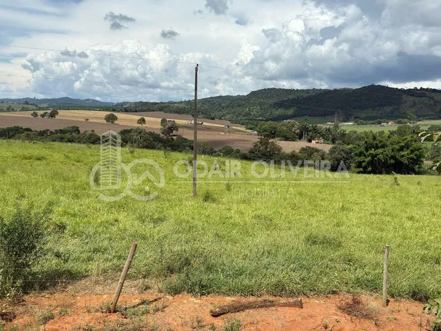 Imagem 7: Rural com 6.7 Alqueires À Venda, Zona Rural, Passos - Mg