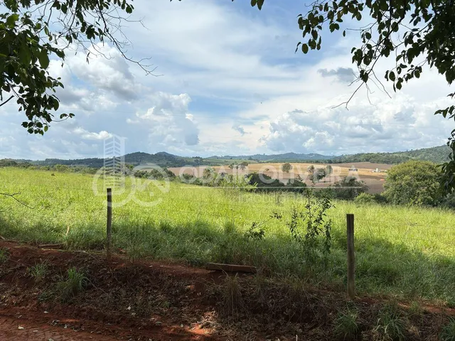 Imagem 10: Rural com 6.7 Alqueires À Venda, Zona Rural, Passos - Mg