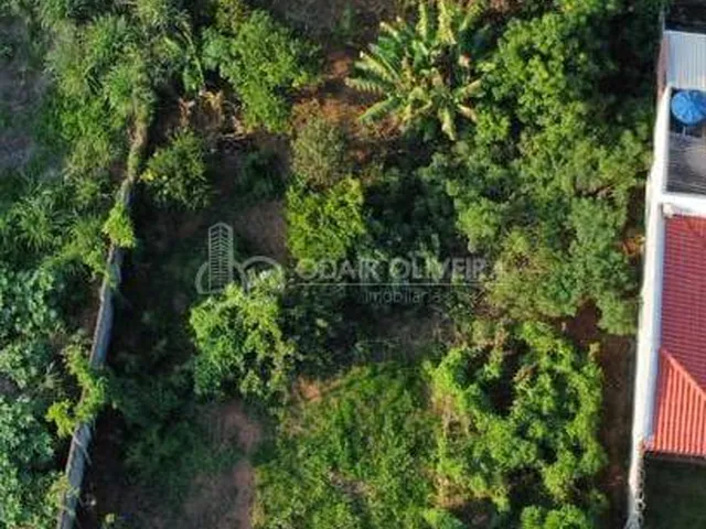 Imagem 2: Oportunidade Imperdível Viva Próximo À Natureza Sem Abrir Mão da Cidade
