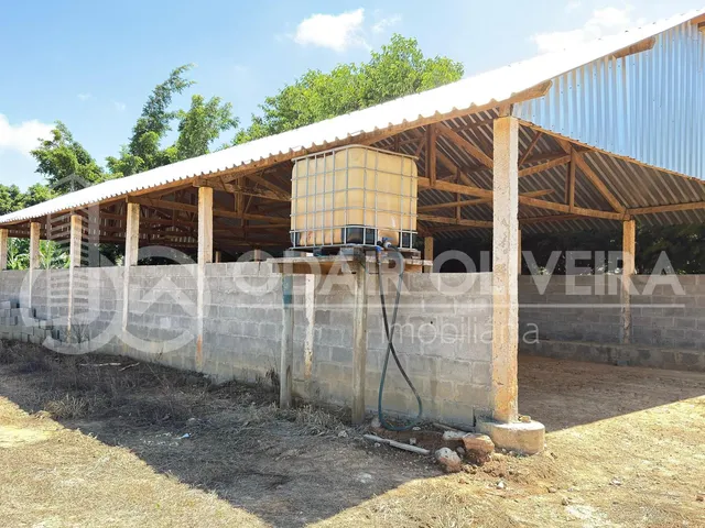 Imagem: Fazenda À Venda 43 Hectares com Alta