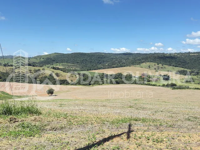 Imagem 2: Fazenda À Venda  43 Hectares com Alta Produtividade, Infraestrutura Completa