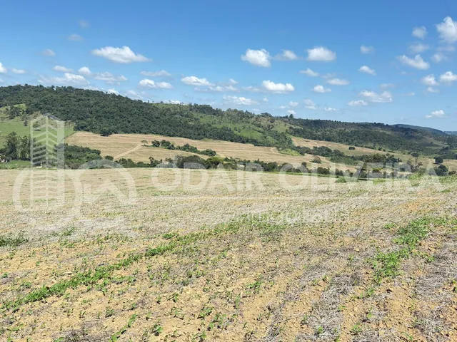 Imagem 3: Fazenda À Venda  43 Hectares com Alta Produtividade, Infraestrutura Completa
