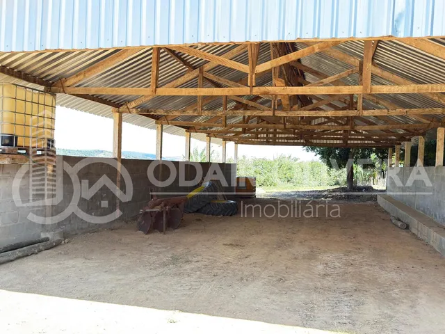 Imagem 8: Fazenda À Venda  43 Hectares com Alta Produtividade, Infraestrutura Completa