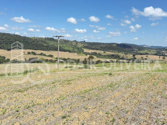 Imagem 4: Fazenda À Venda  43 Hectares com Alta Produtividade, Infraestrutura Completa