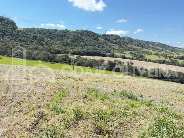 Imagem 5: Fazenda À Venda  43 Hectares com Alta Produtividade, Infraestrutura Completa