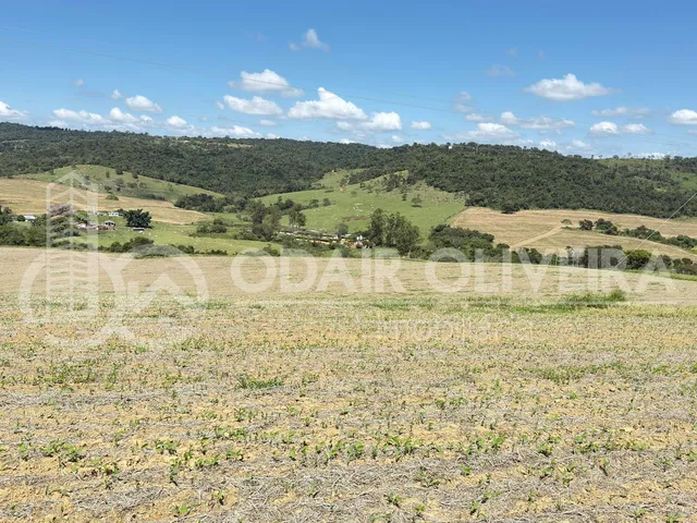 Imagem 6: Fazenda À Venda  43 Hectares com Alta Produtividade, Infraestrutura Completa