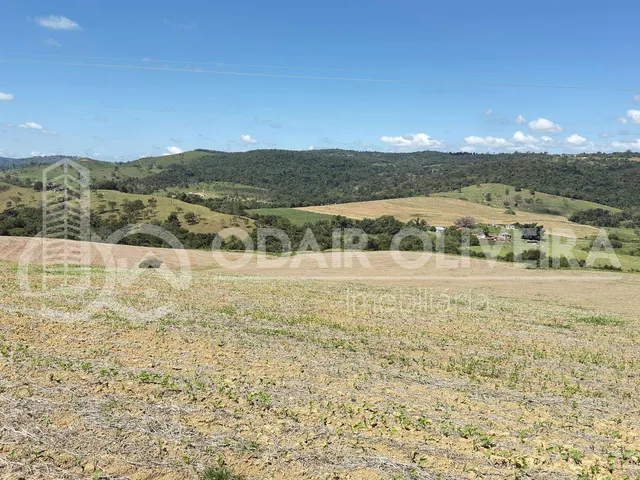 Imagem 7: Fazenda À Venda  43 Hectares com Alta Produtividade, Infraestrutura Completa