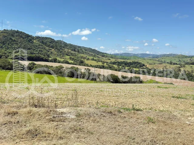Imagem 9: Fazenda À Venda  43 Hectares com Alta Produtividade, Infraestrutura Completa