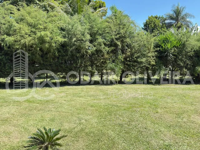 Imagem 10: Fazenda À Venda  43 Hectares com Alta Produtividade, Infraestrutura Completa