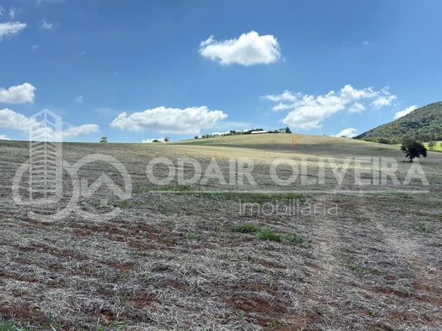 Imagem 11: Fazenda À Venda  43 Hectares com Alta Produtividade, Infraestrutura Completa