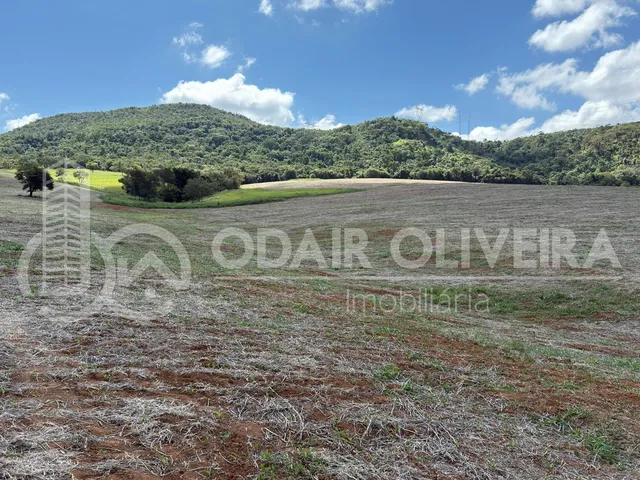 Imagem 12: Fazenda À Venda  43 Hectares com Alta Produtividade, Infraestrutura Completa