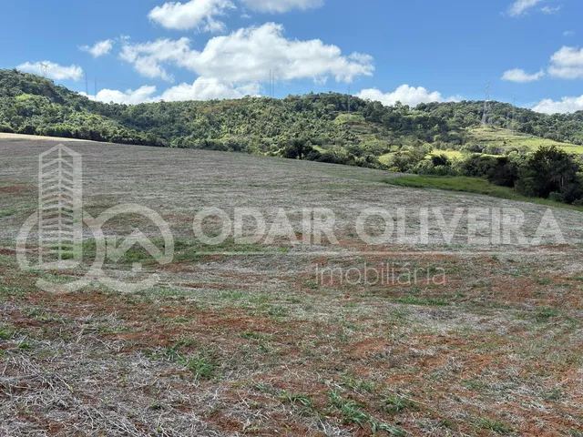 Imagem 13: Fazenda À Venda  43 Hectares com Alta Produtividade, Infraestrutura Completa