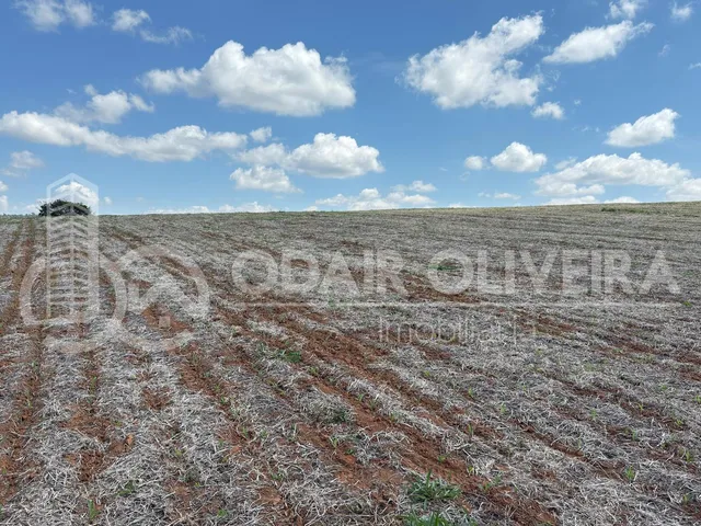 Imagem 14: Fazenda À Venda  43 Hectares com Alta Produtividade, Infraestrutura Completa