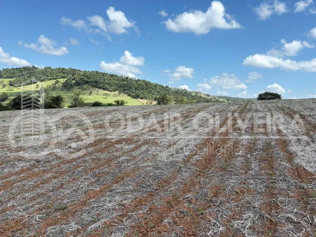 Imagem 15: Fazenda À Venda  43 Hectares com Alta Produtividade, Infraestrutura Completa