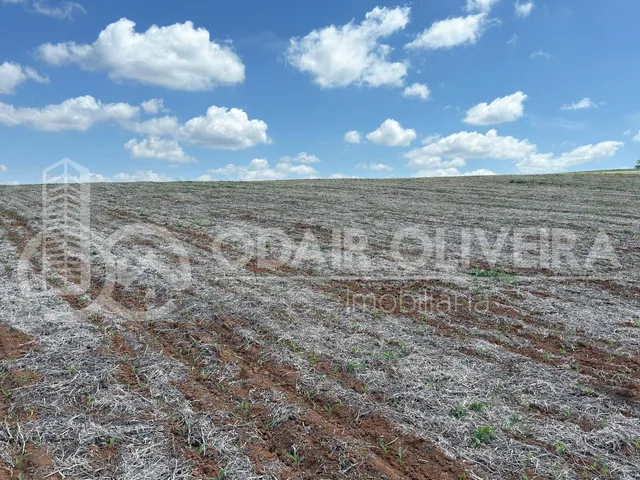 Imagem 16: Fazenda À Venda  43 Hectares com Alta Produtividade, Infraestrutura Completa