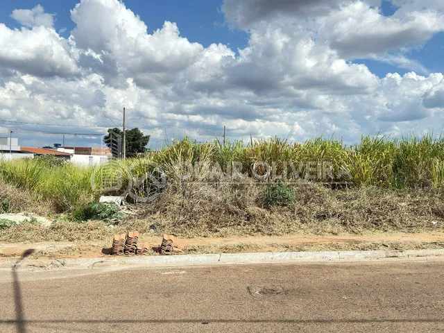Imagem: Lote Gigante À Venda no Nova Passos 1 
