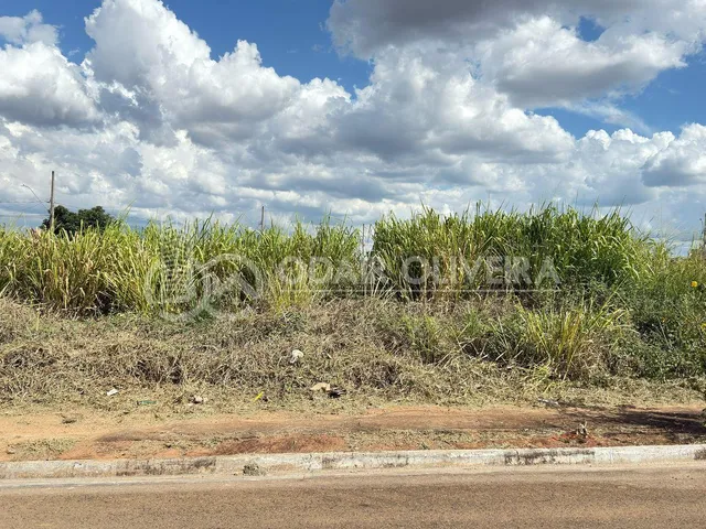 Imagem: Lote Gigante À Venda no Nova Passos 1 