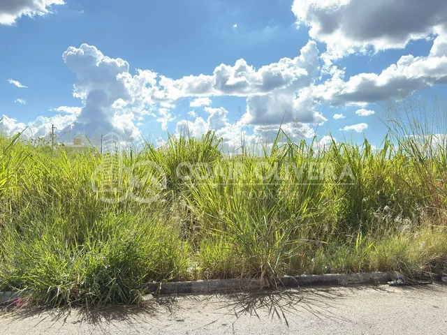 Imagem: Exclusividade no Bairro Nova Passos  Lote