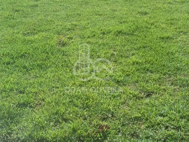 Imagem 16: Chácara À Venda, Capitolio, Passos - Mg