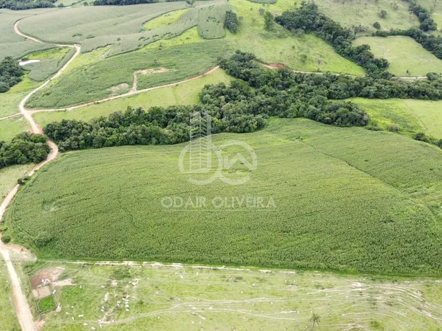 Imagem: Fazenda À Venda, Rural, Passos - Mg