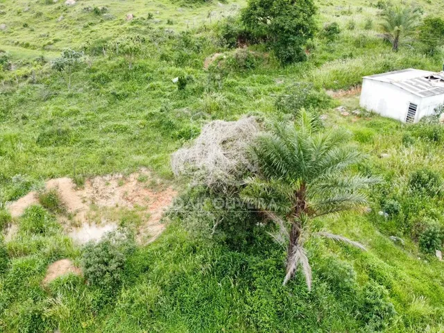 Imagem 5: Fazenda À Venda, Rural, Passos - Mg