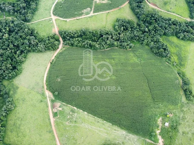 Imagem 7: Fazenda À Venda, Rural, Passos - Mg